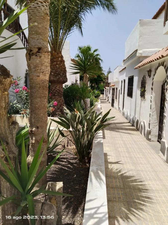 Vakantiehuis 2 Splendida In Tenerife Del Sur Casa Trilly